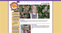 Desktop Screenshot of carsonharrisfoundation.org